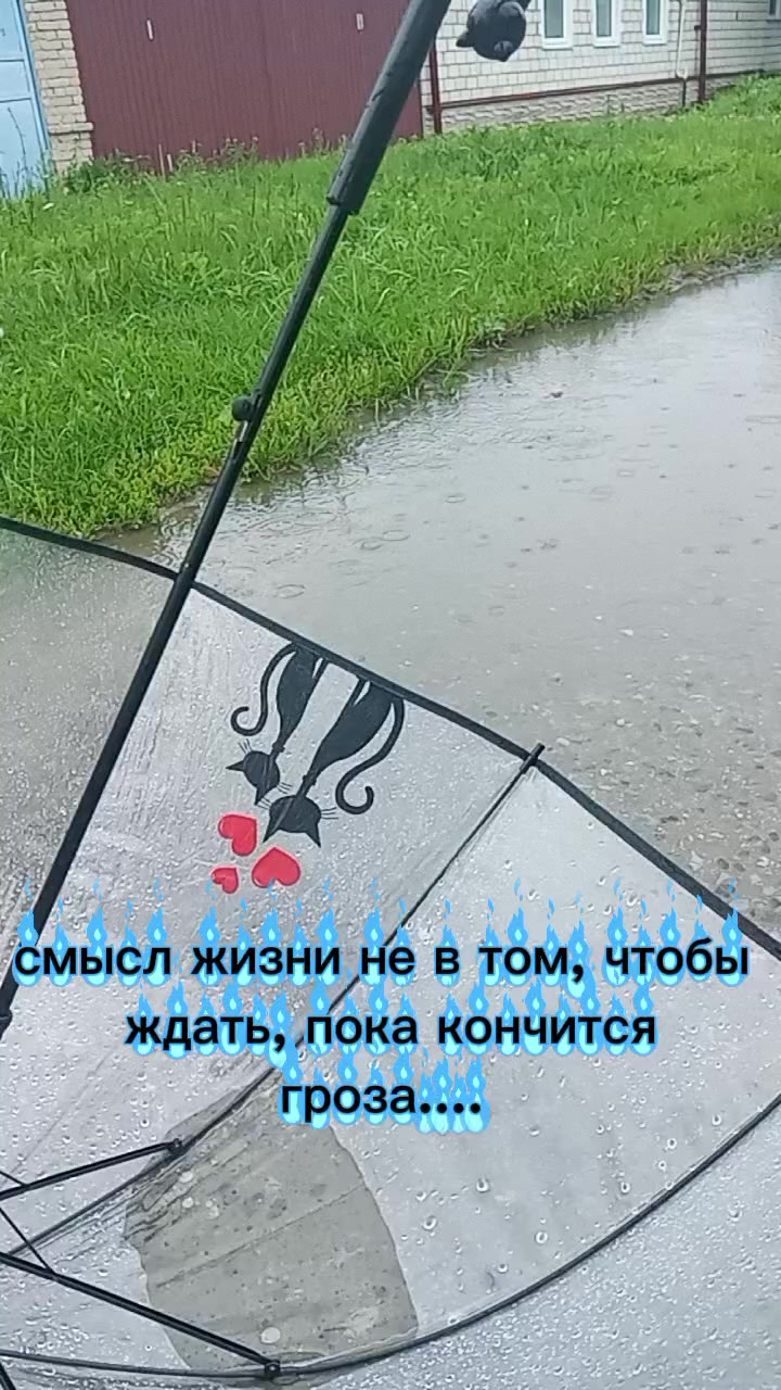 @Юлек Петербург-Елец