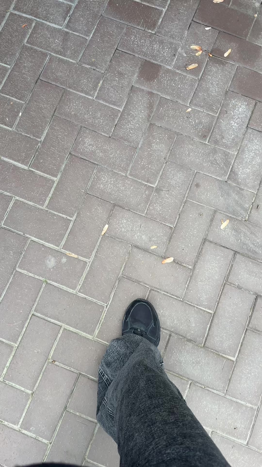 @vtfrockot
