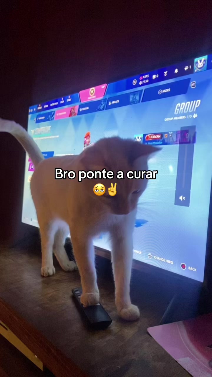 @itx.ivan