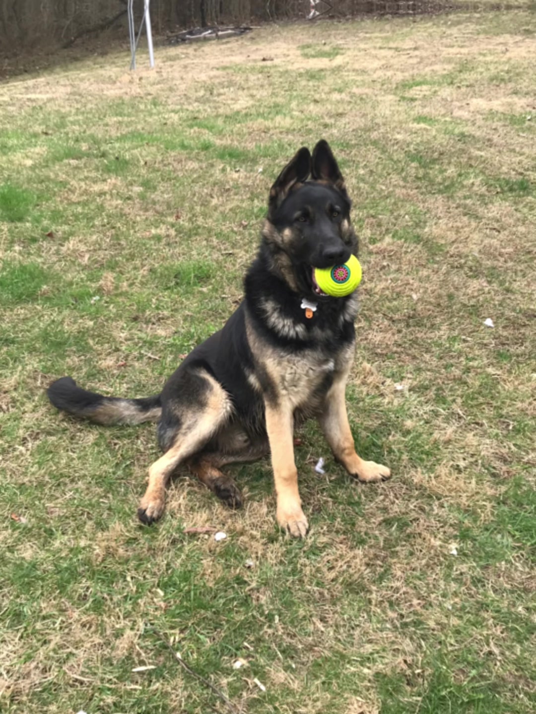 @MERCURY_GSD_24_7
