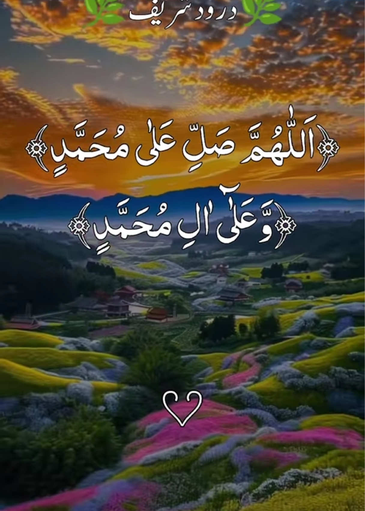 @❣️ Words of Allah ❣️
