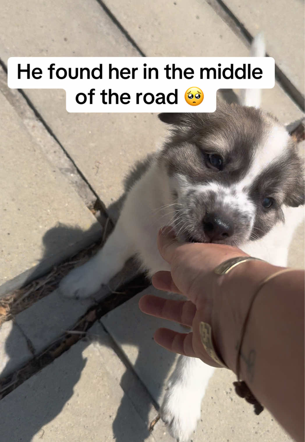 @RealtormeganT