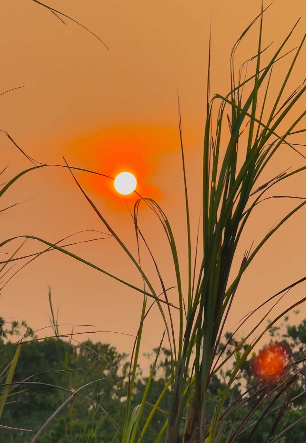 @প্রকৃতি 🍃