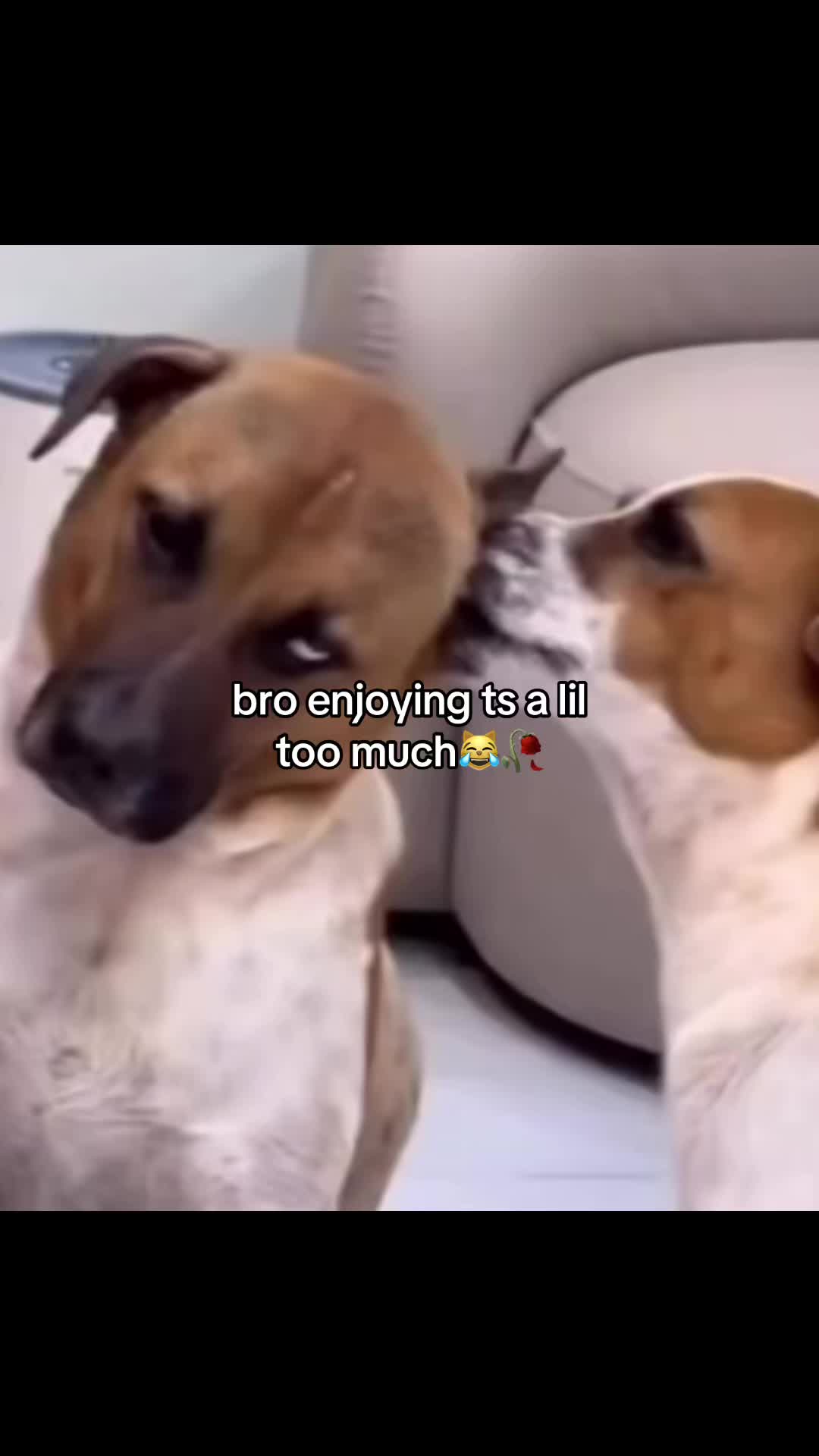 @Kimoratewkrazy