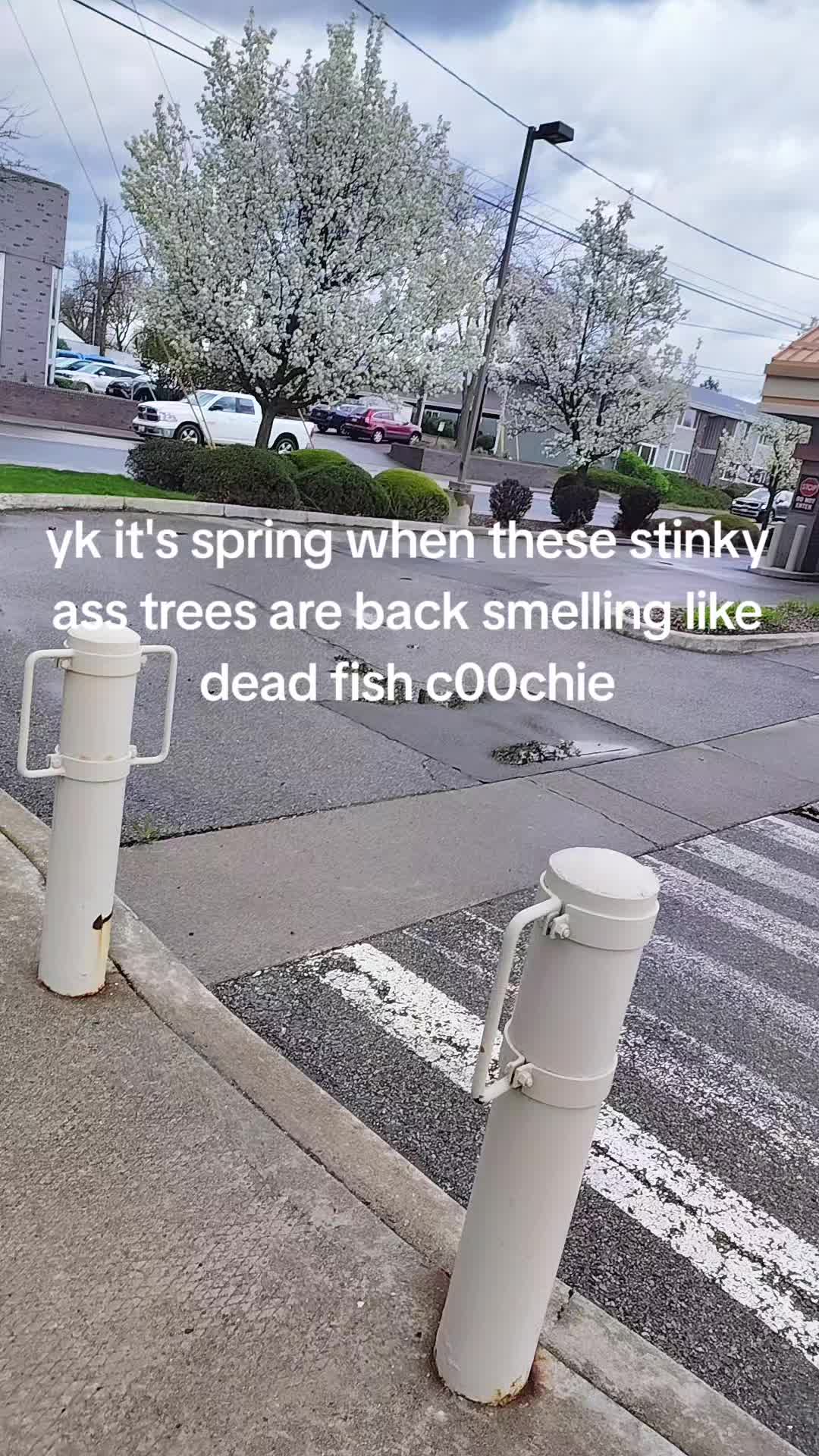 @QTL0VE