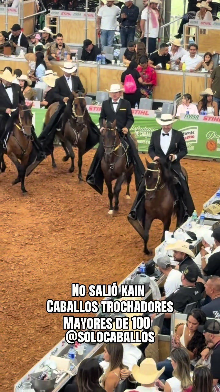 @Solo Caballos