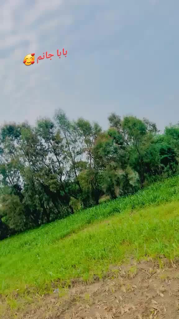 @Muzamil Hayat