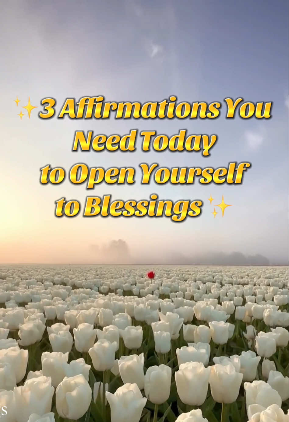 @AbundanceFlow*Manifestation