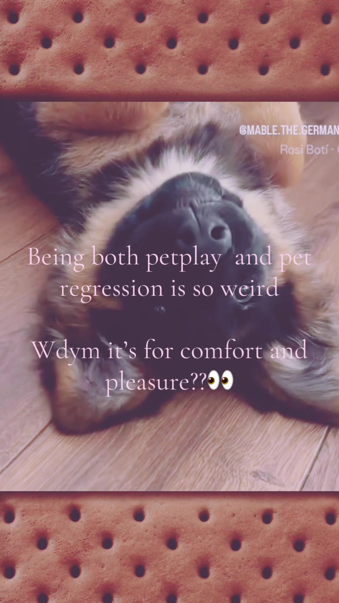 @mimi🐾