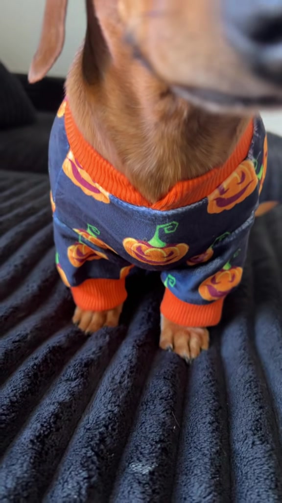 @Slinky Severus-Doo