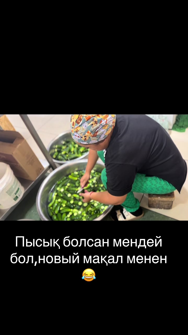 @Арайлым Толеу