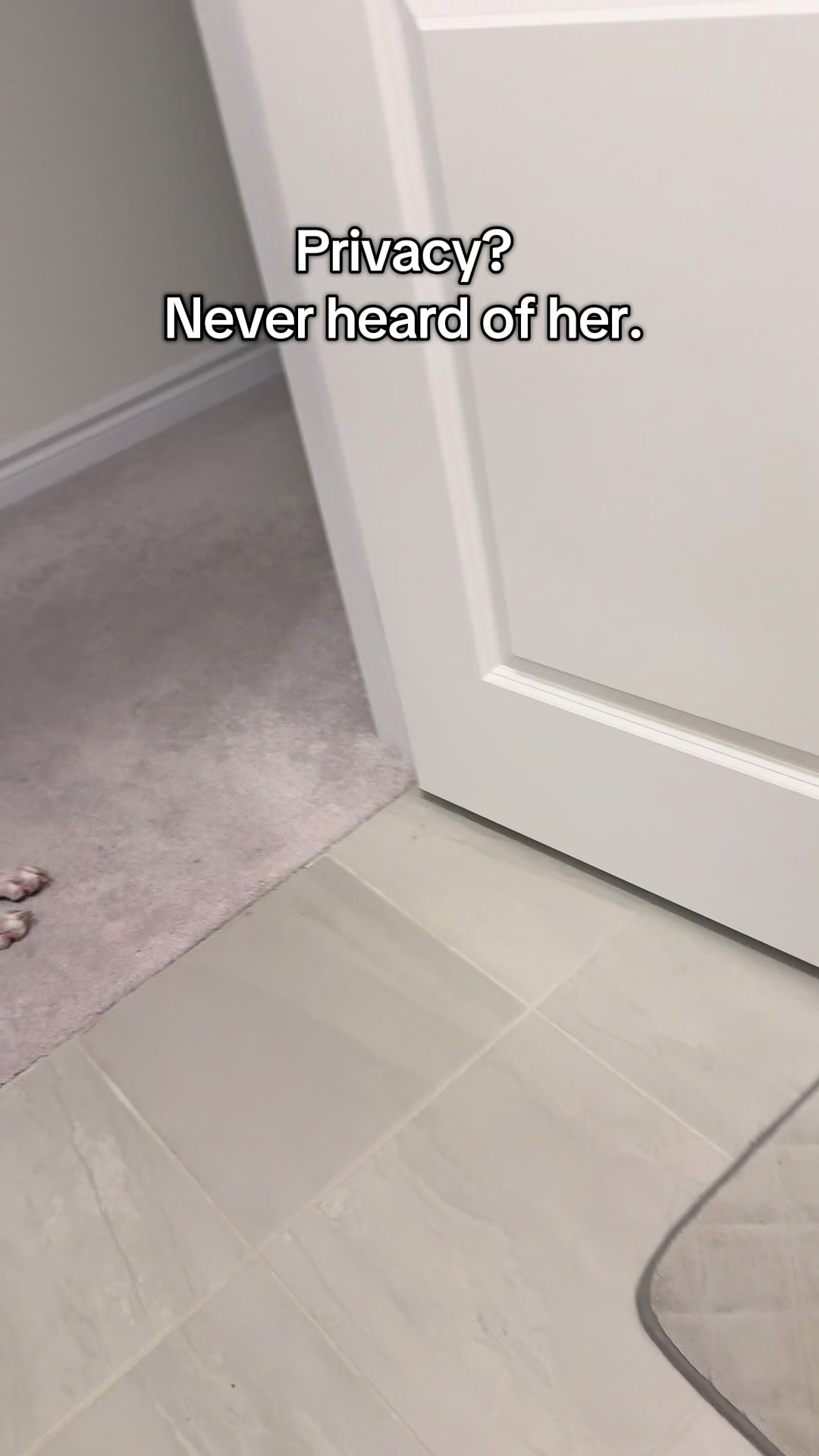 @Kayce Dog🤪🩷