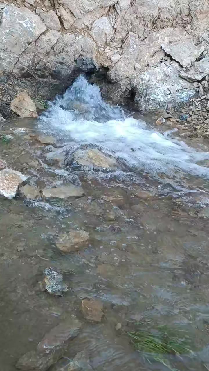 @DAĞCI.46