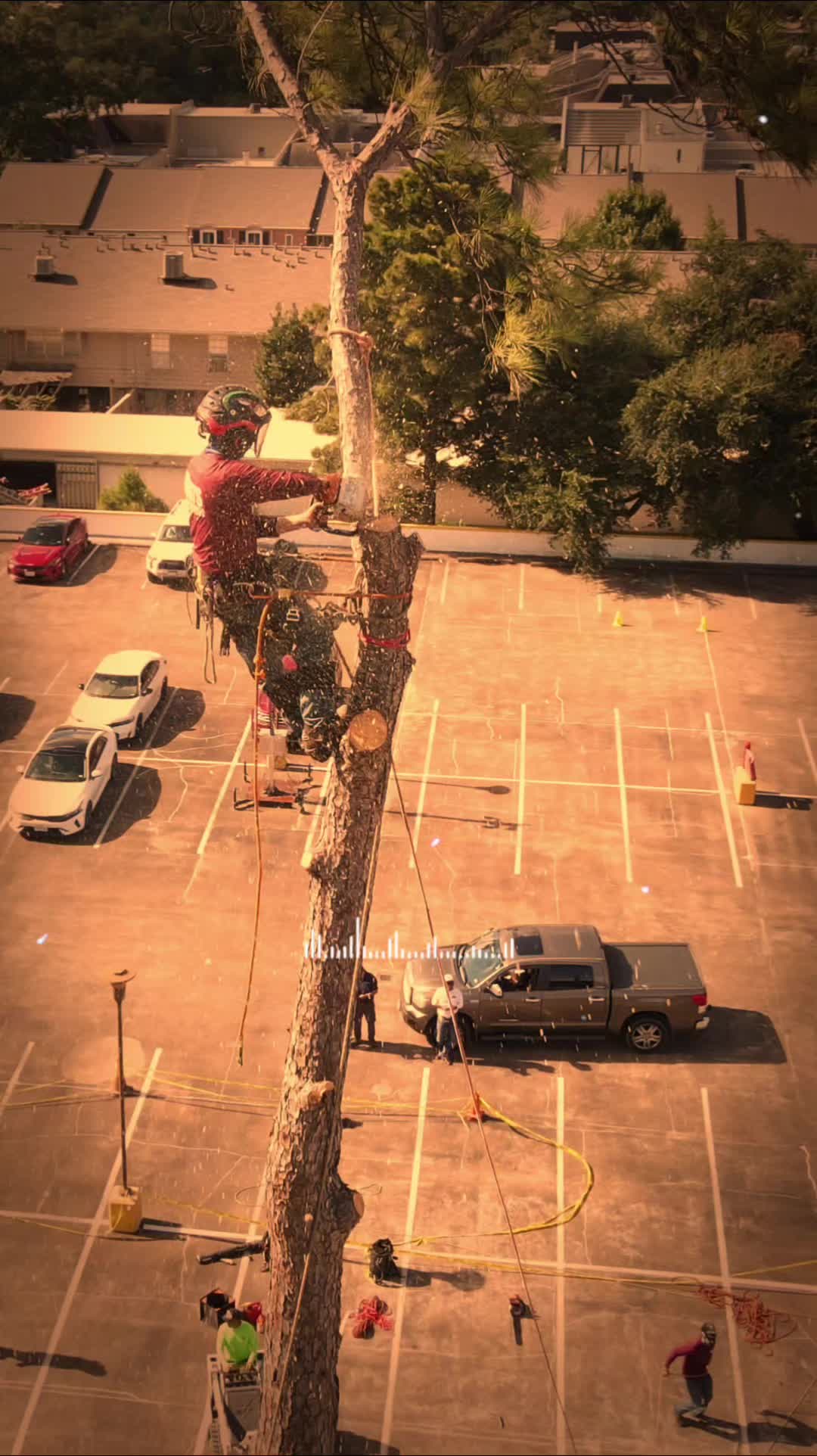 @GTS Galvan Tree Services LLC