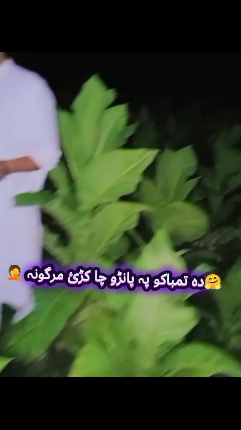 @Asad5576