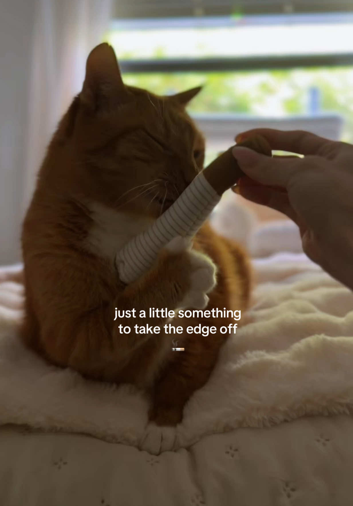 @Pepe