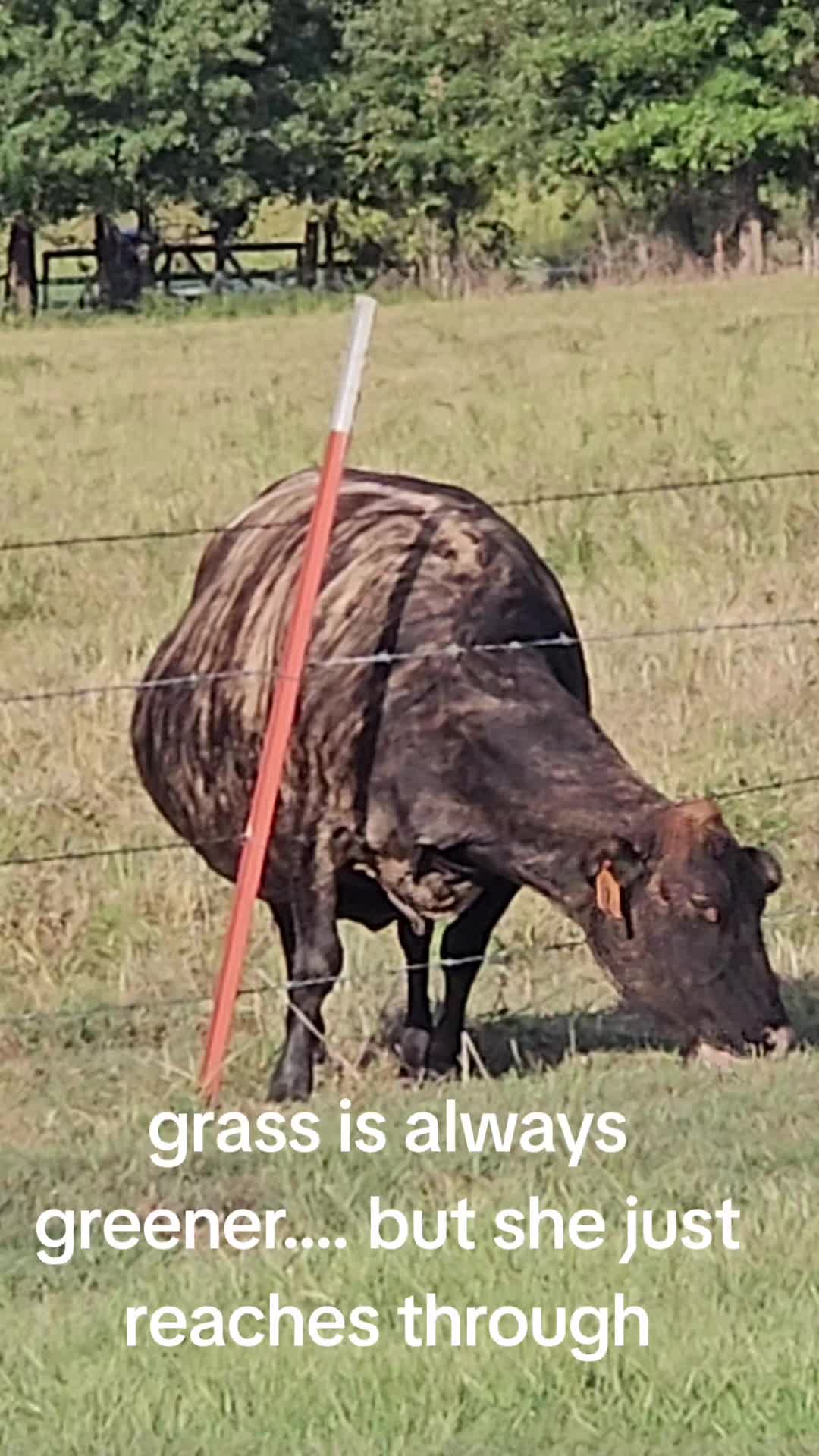 @Davy ❌️Eagon