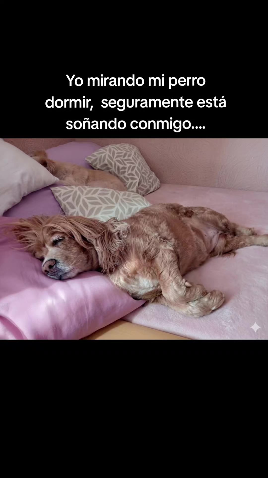 @Tere