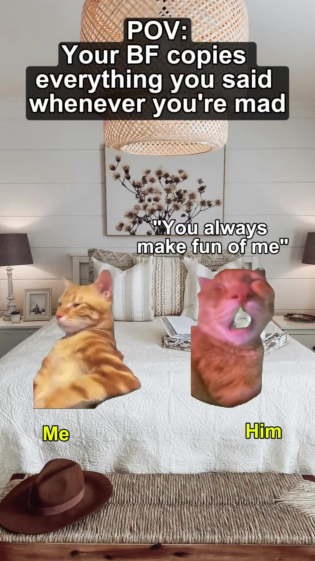 @Meme Meow 🐈🐈⬛
