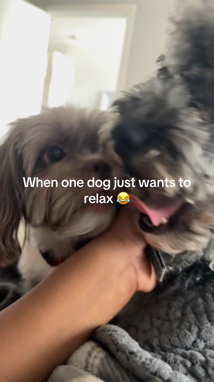 @Rio🐾