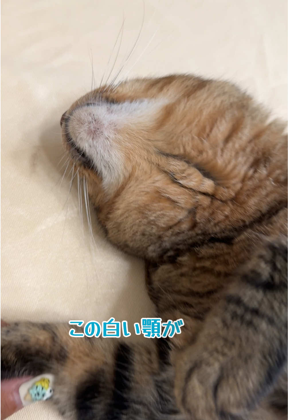 @さっことおちょ