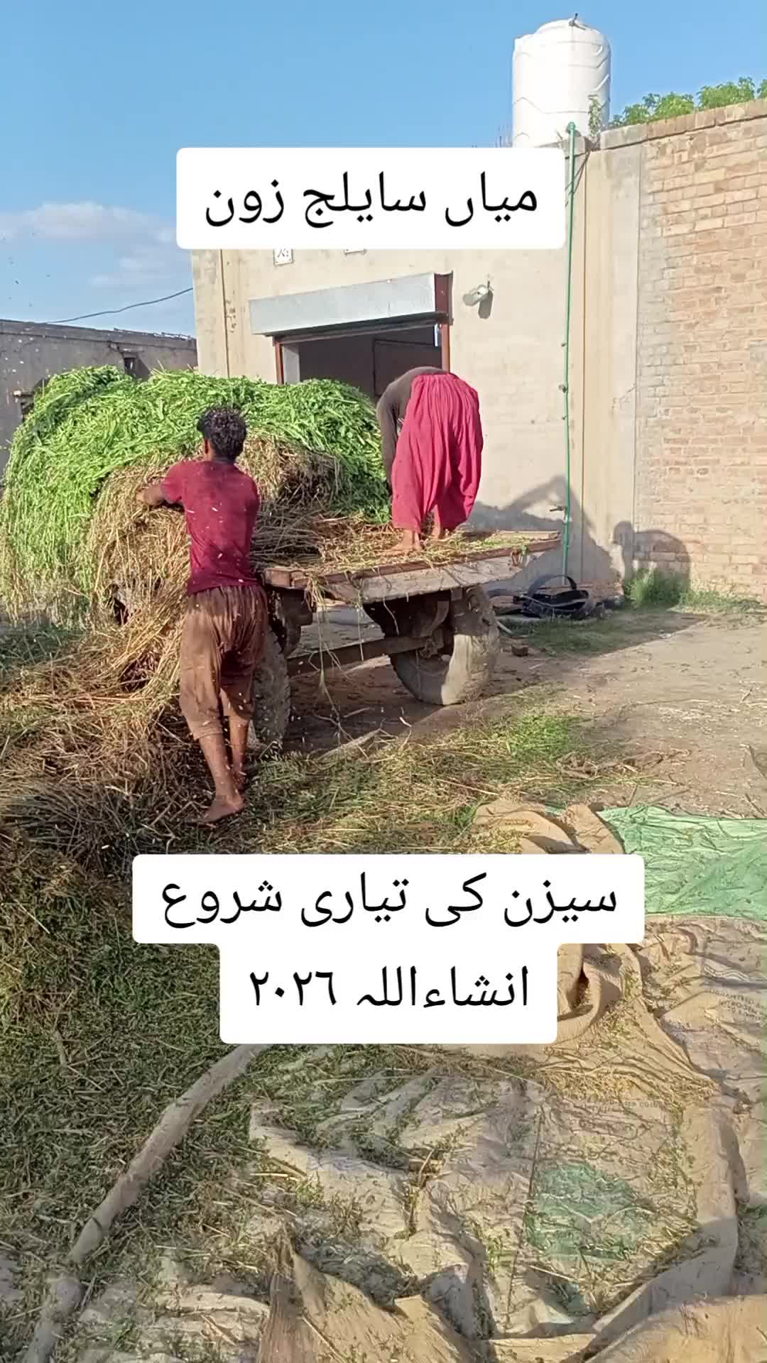 @Miandairyfarm