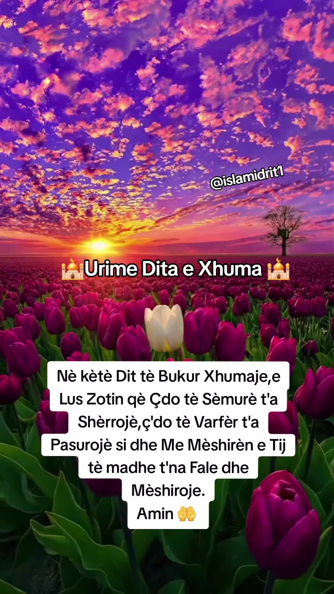 @Islami Drit 🕌