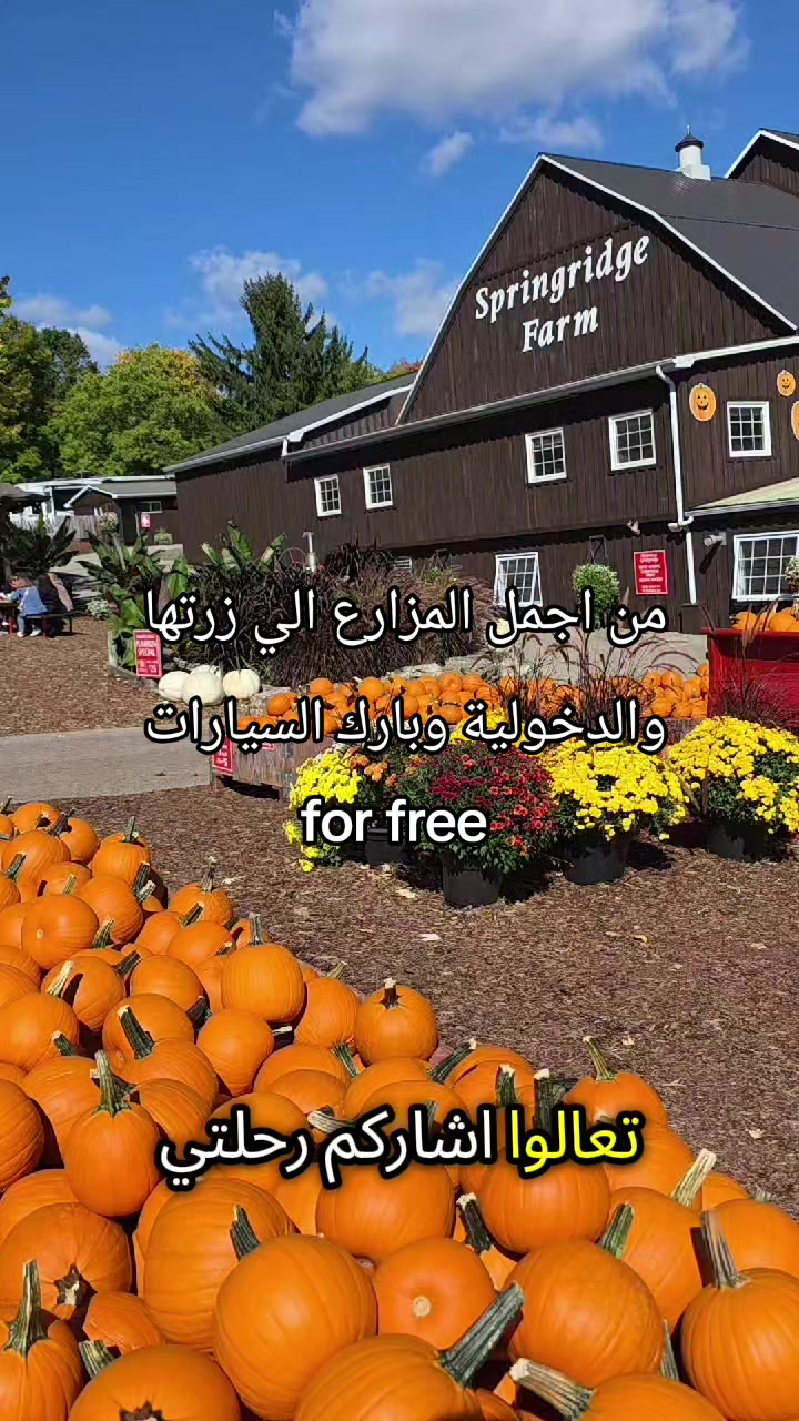 @wasoon