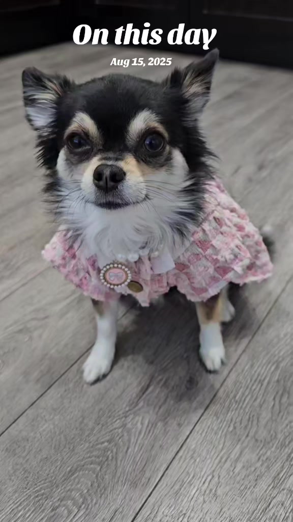 @Pawsha