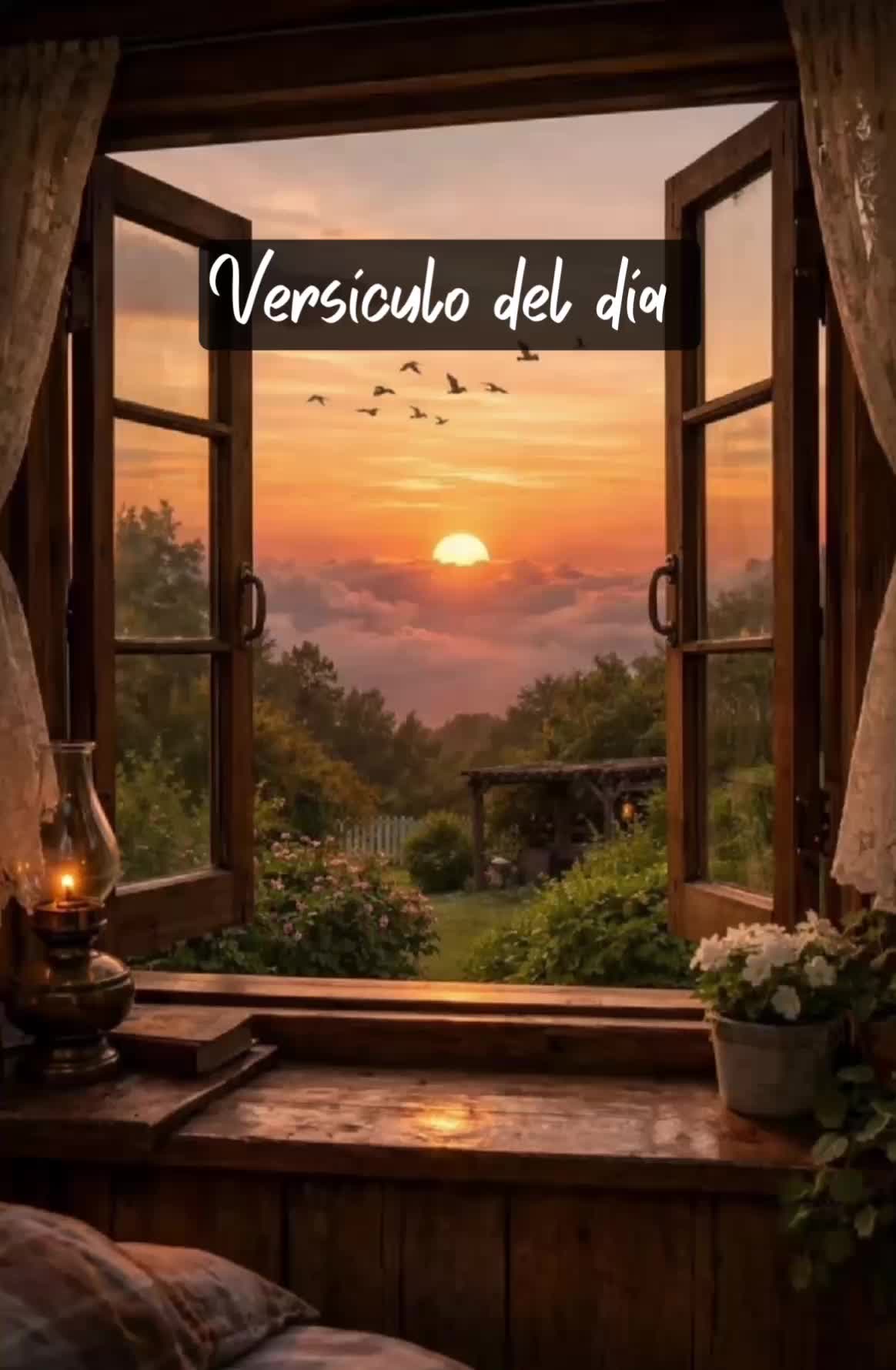 @Maya RR