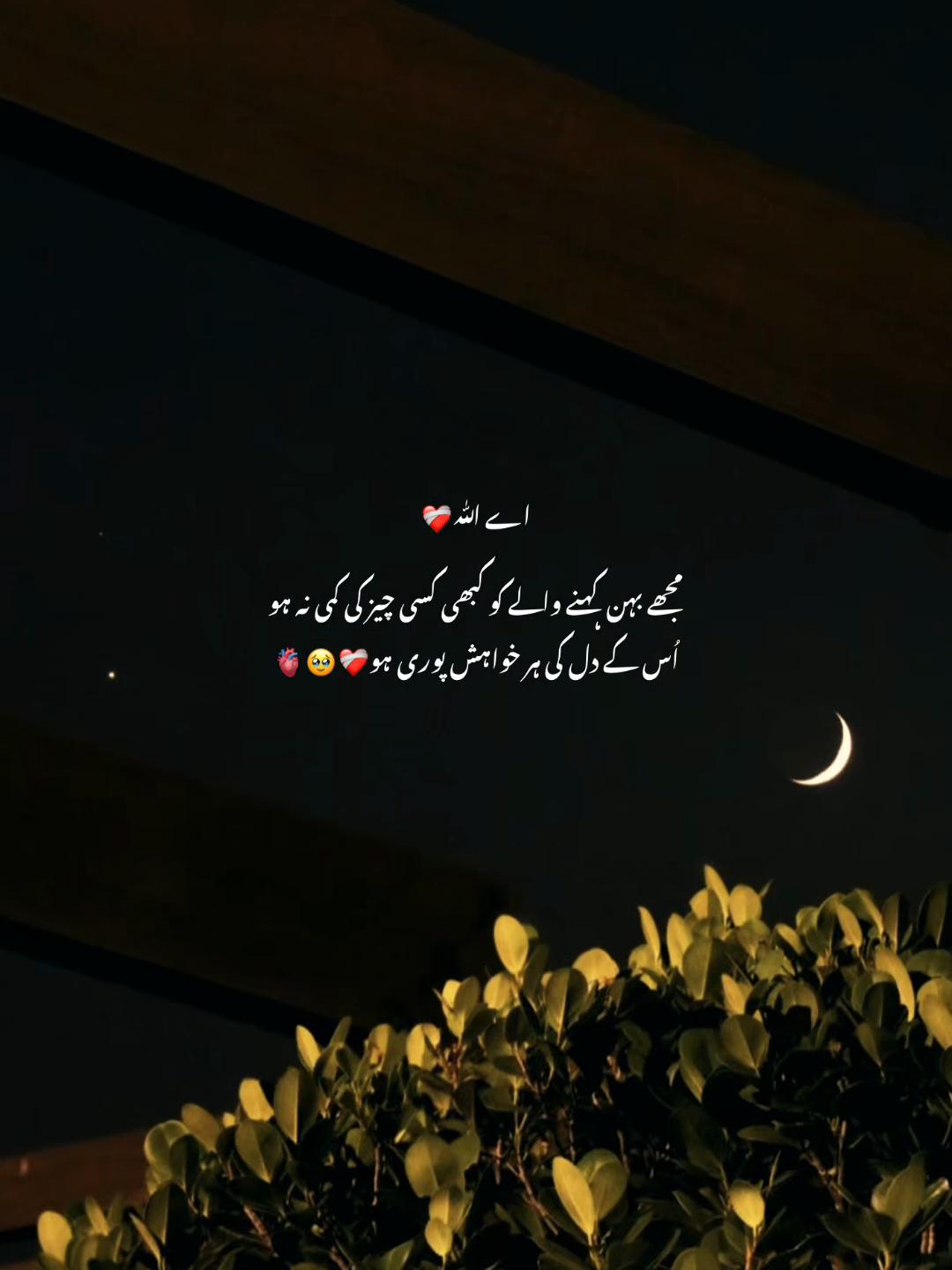@صاحِبہ 🖤