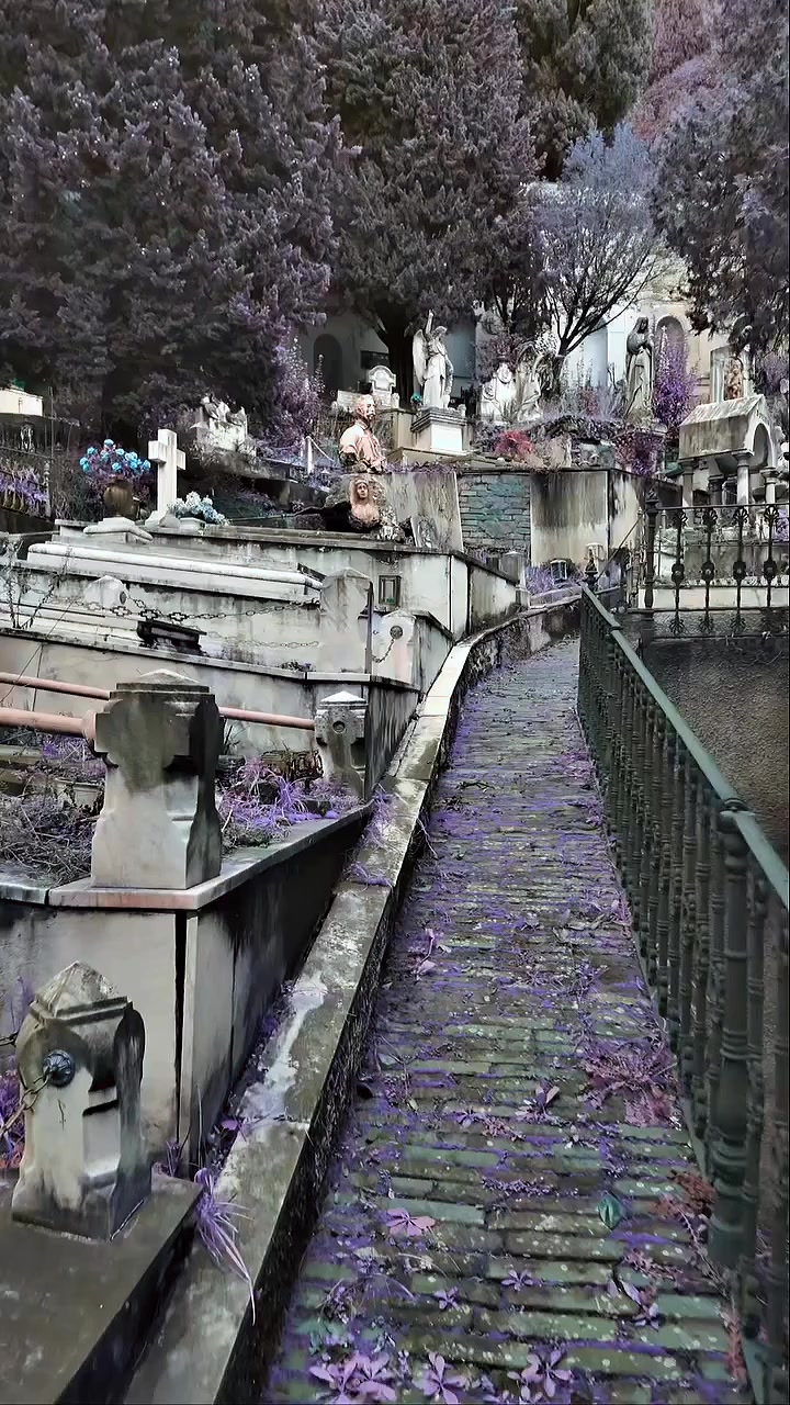 @♱𝓣𝓱𝓮𝓥𝓸𝓲𝓭♱