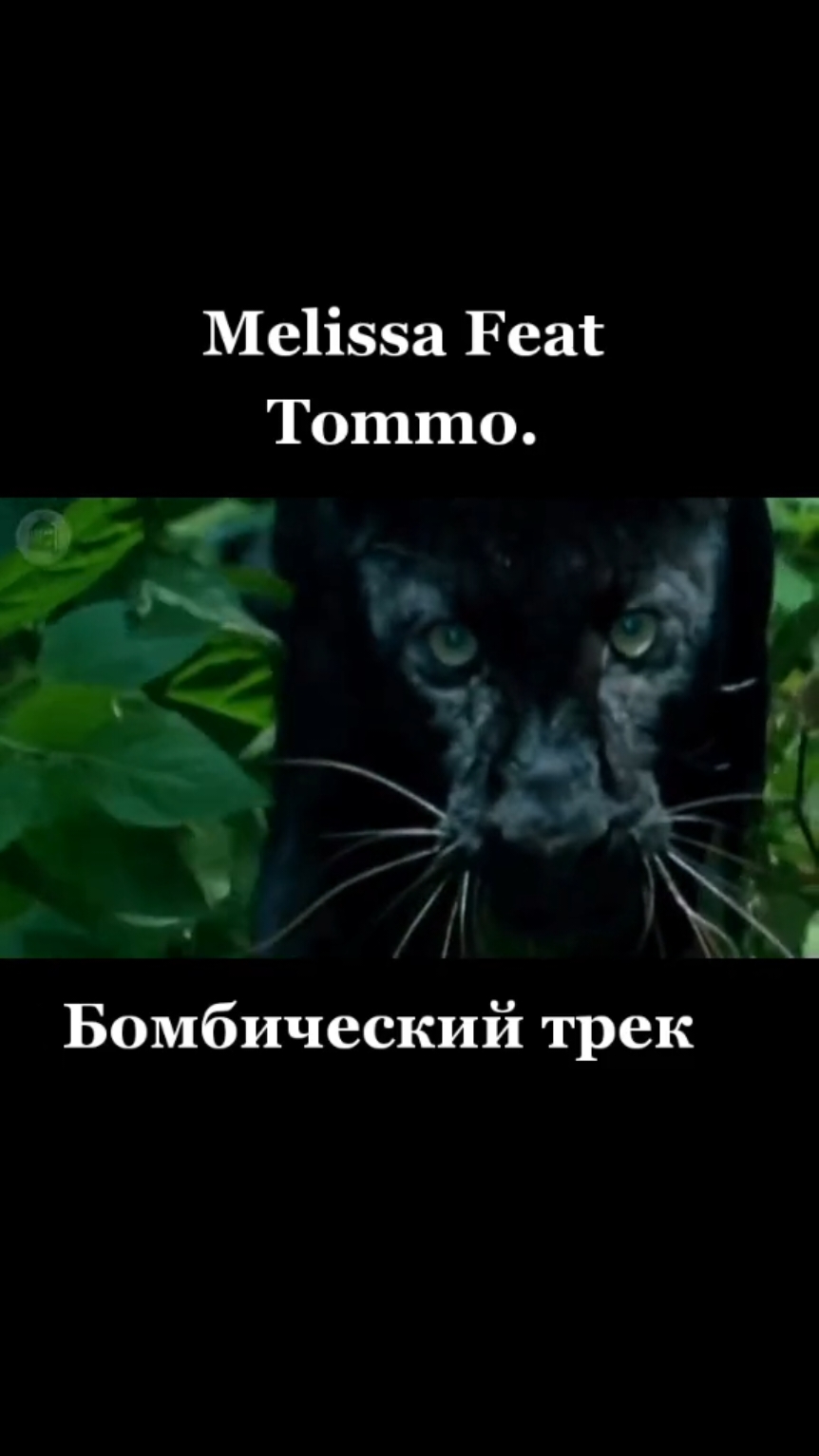 @🌺Лилия🌺
