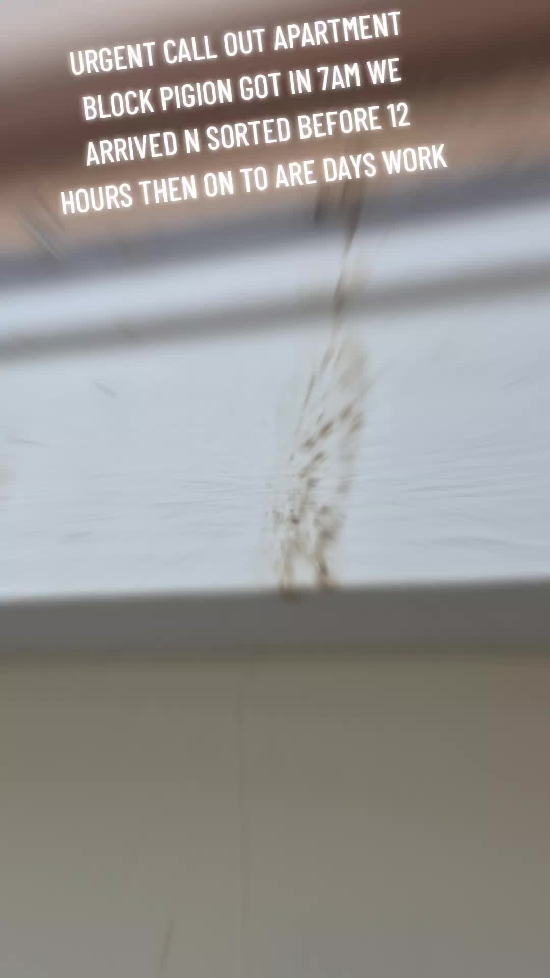 @Bradjetwashing/upvcspraying