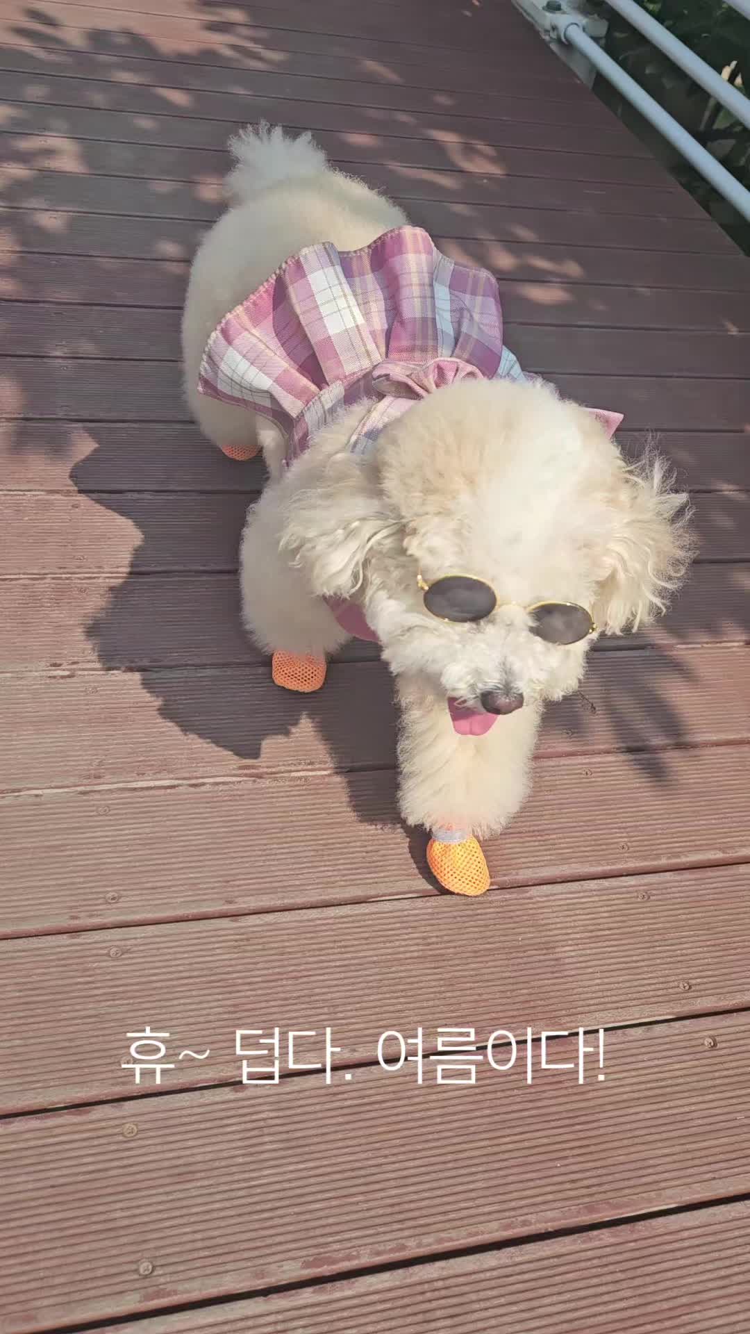@예쁜라떼