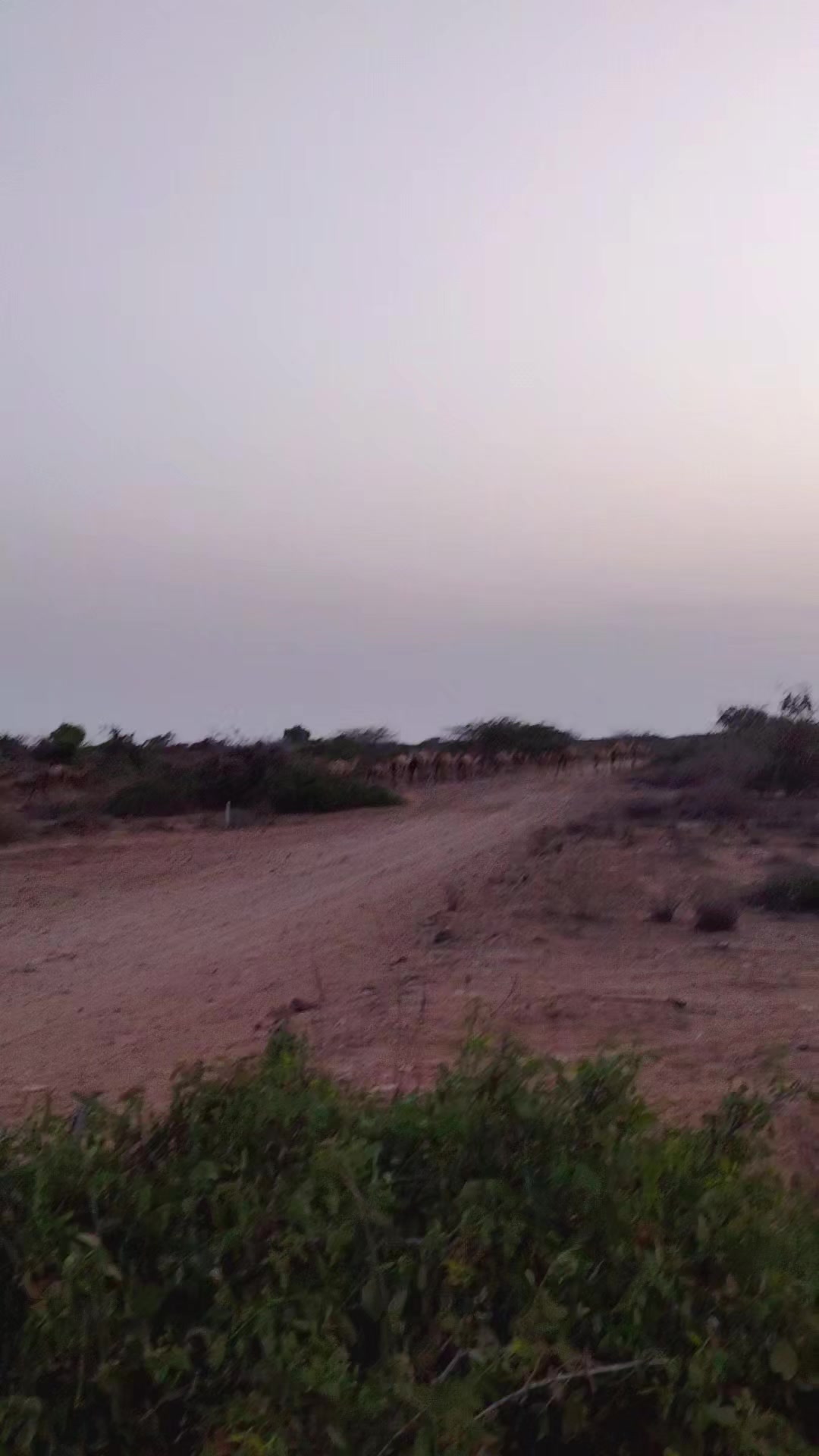 @نجم الظلام