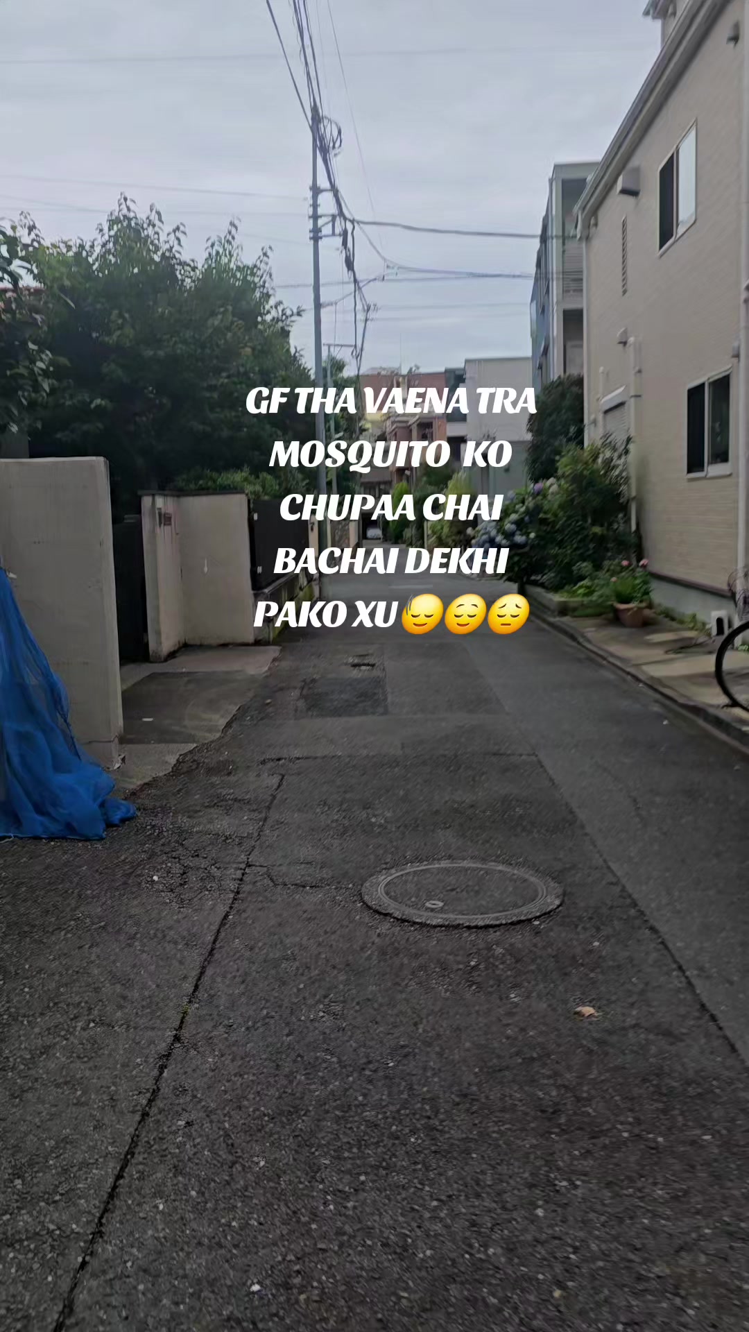 @SNORLAX VLOG💤🦍🦍