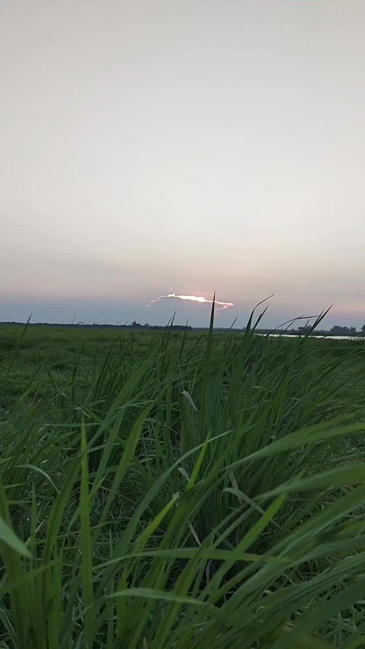 @ពូ រ៉ា