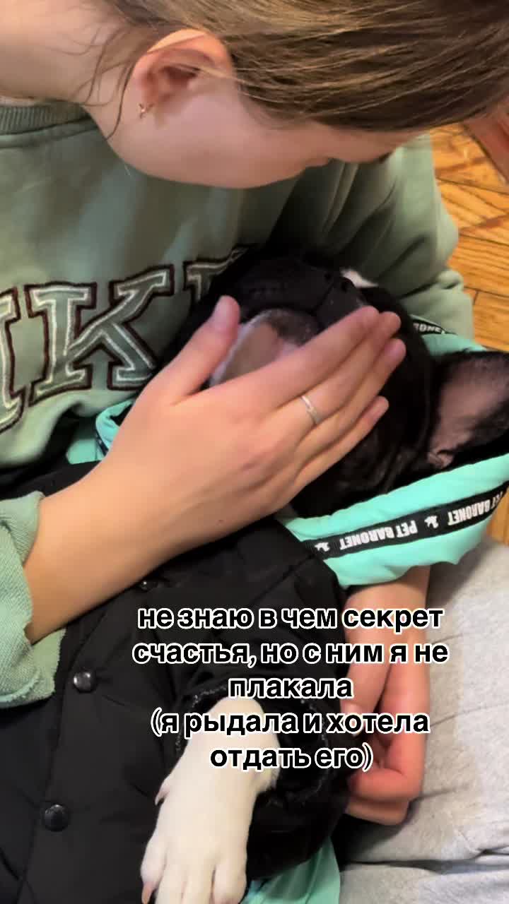 @кекс