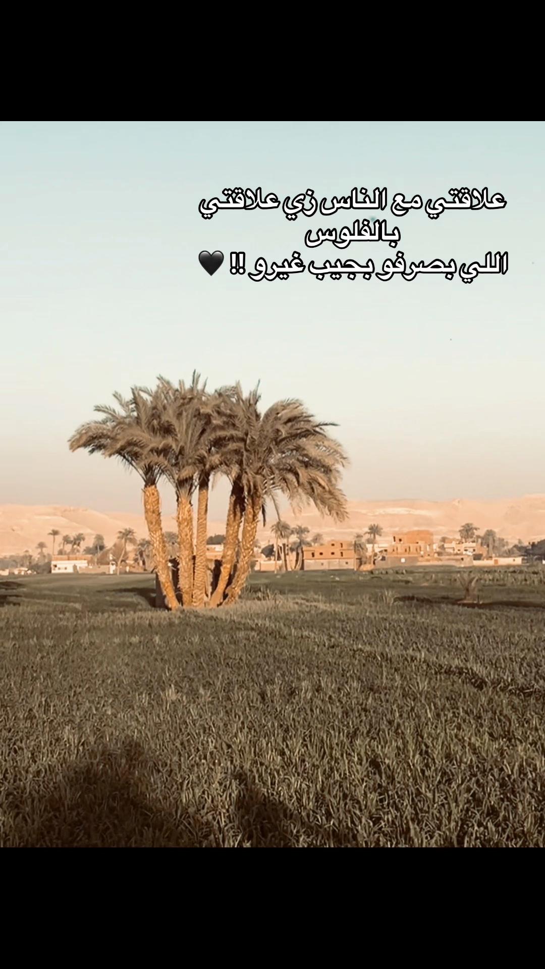 @"مصطفي"🦂
