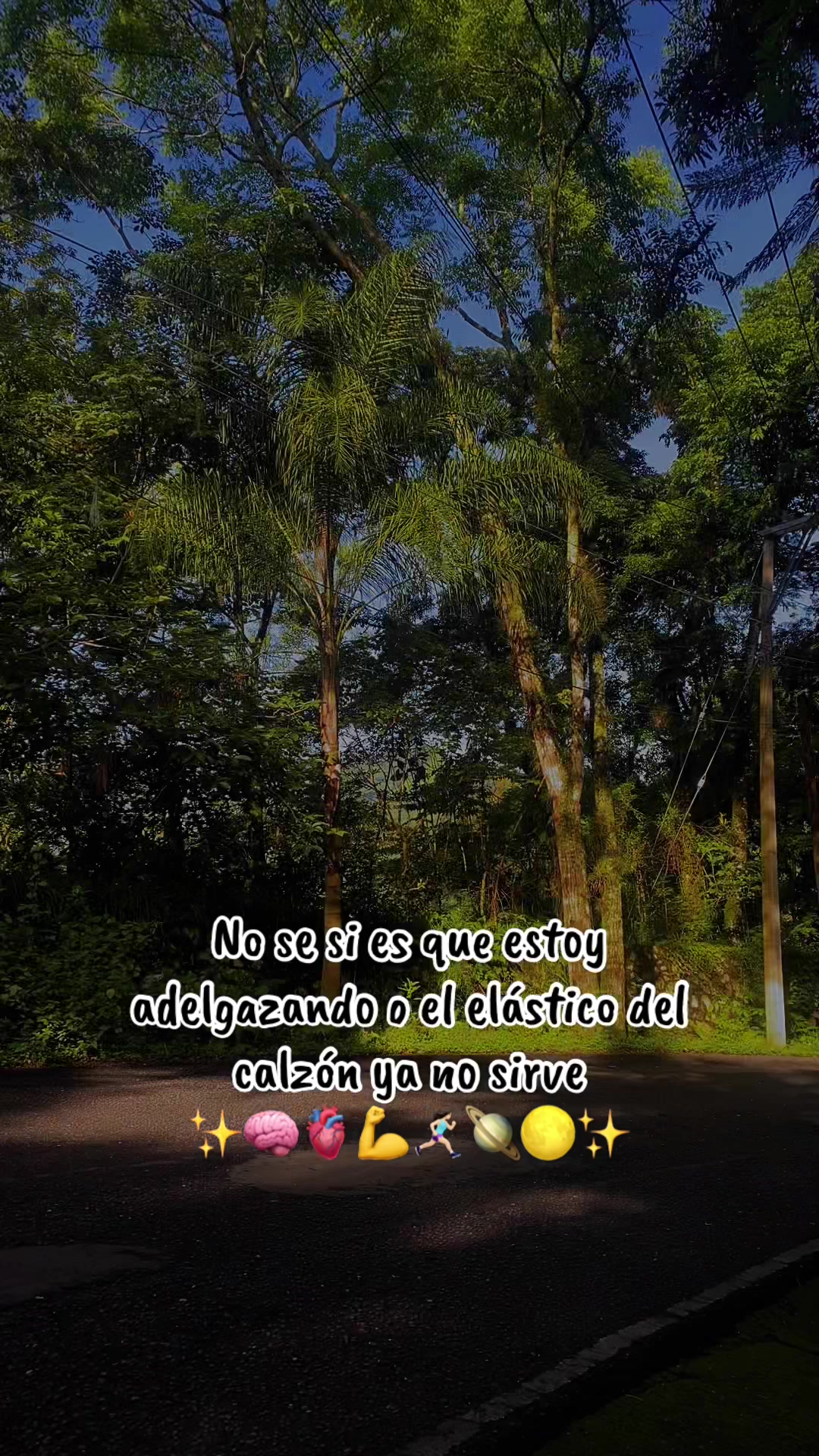@lunita