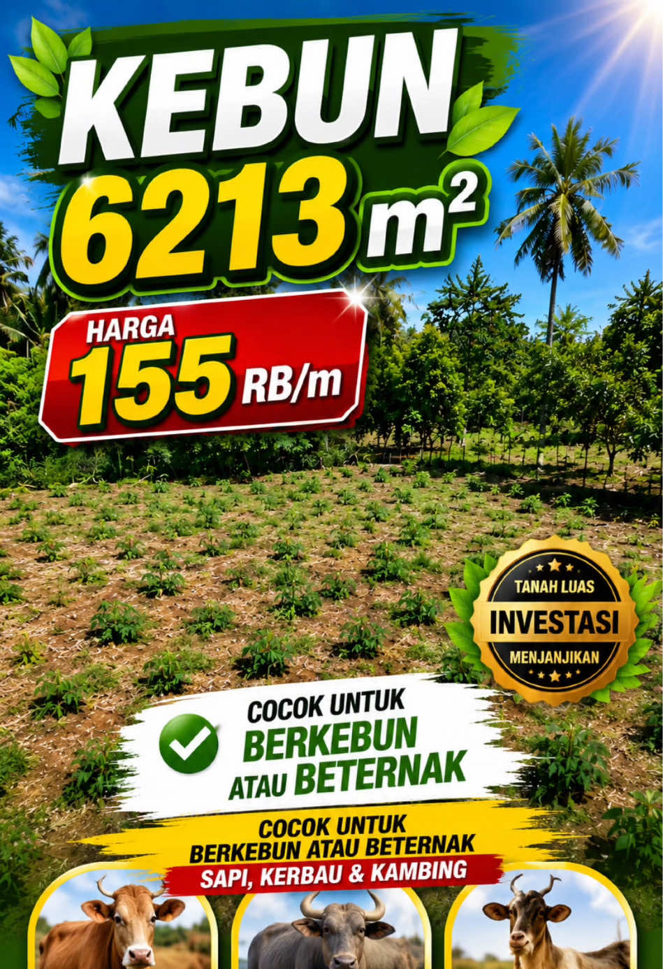 @Sumbar Property