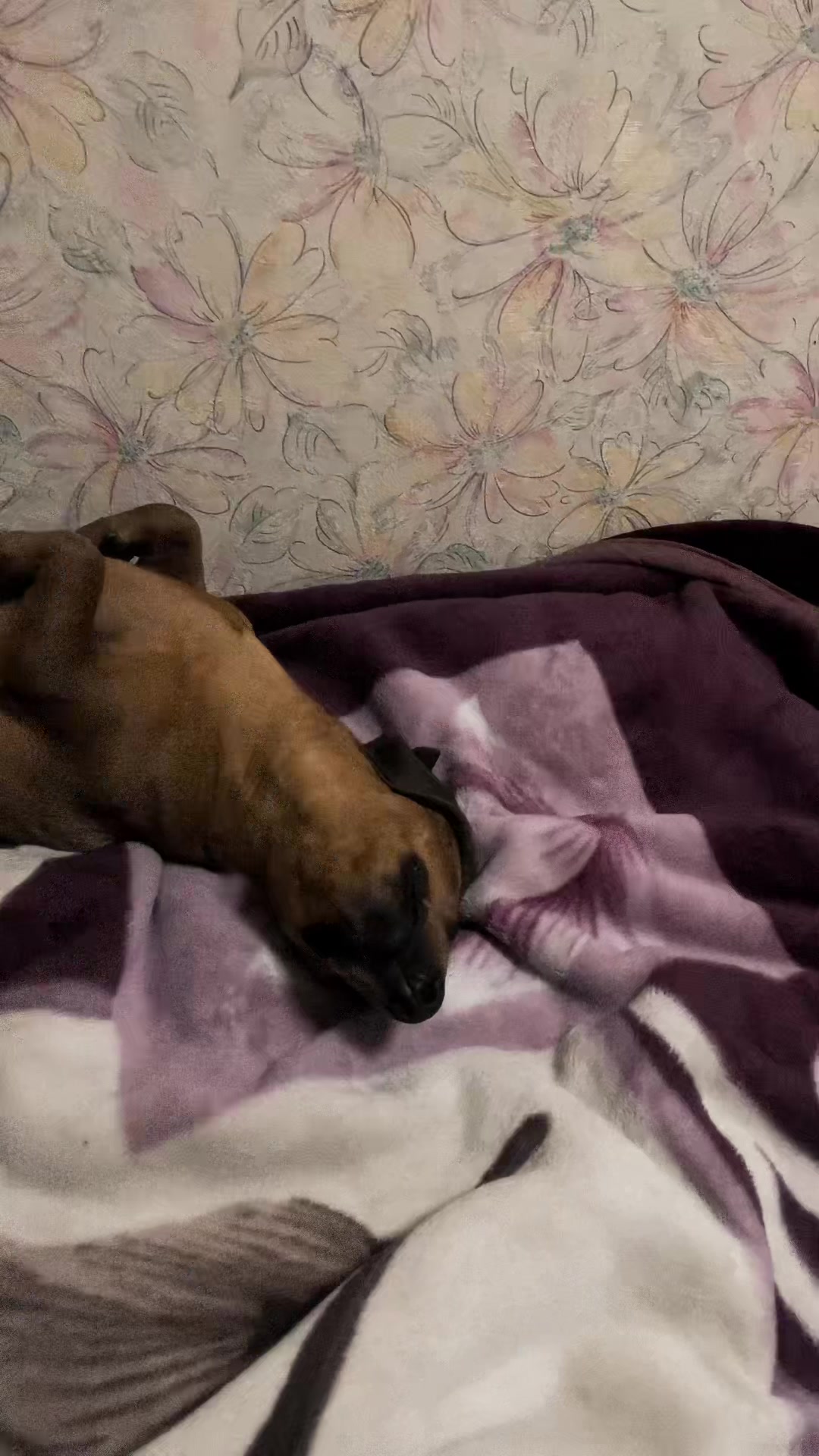 @Юлия Милько😜