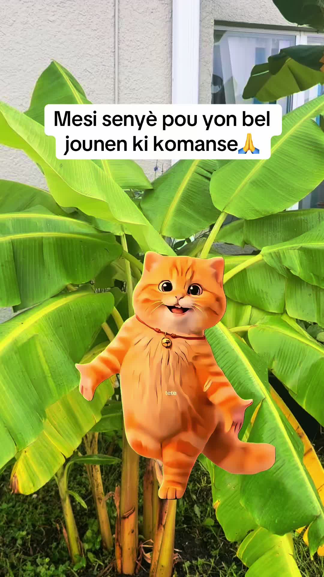 @Nadege P