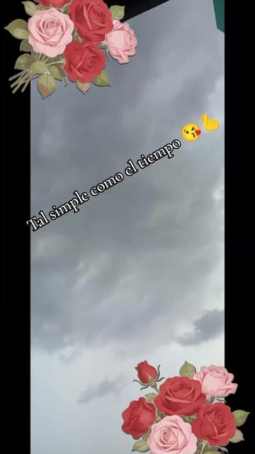 @damaris. mayorga5