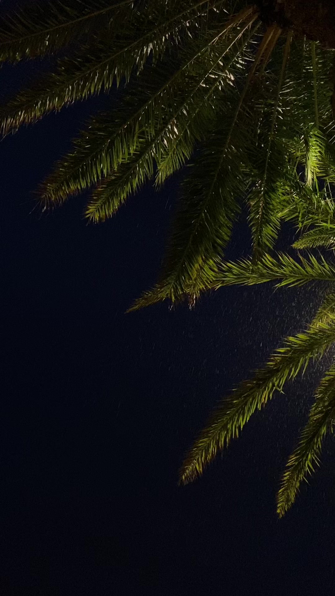 @meetmeinflorida
