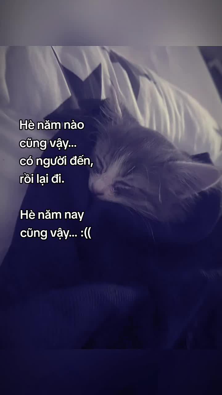 @I miss you