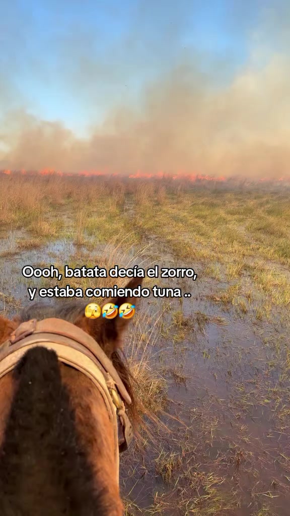 @Ramón_Batalla🫡