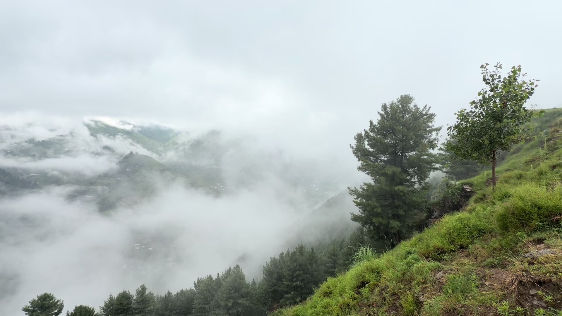 @mehtab_shah786