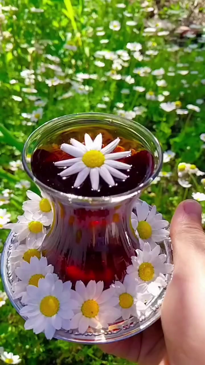 @꧁★✯͜͡ ᴇʟɪ̇ғ✯͜͡★꧂
